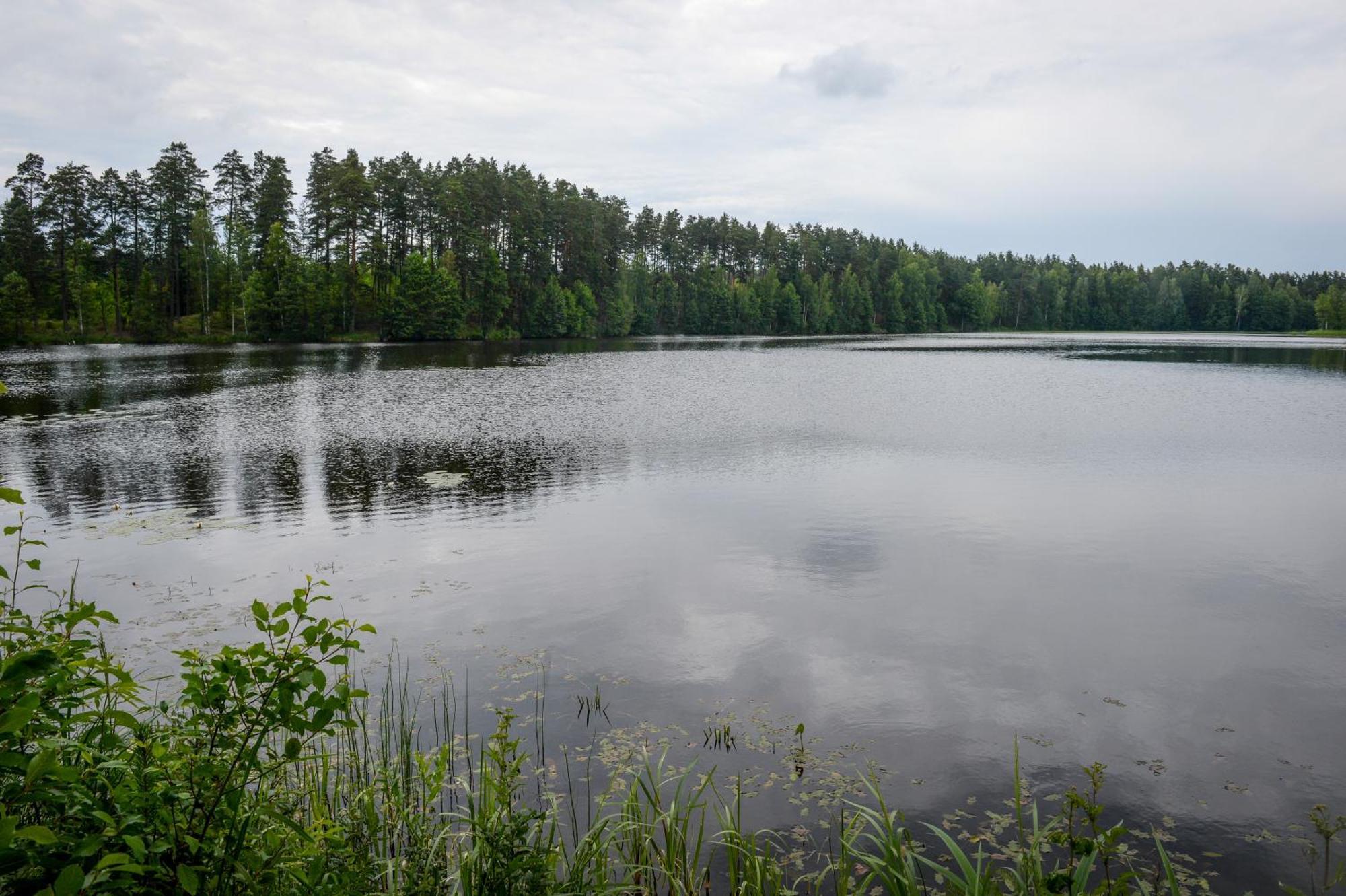 Alberta Diki Upesciems Chambre photo